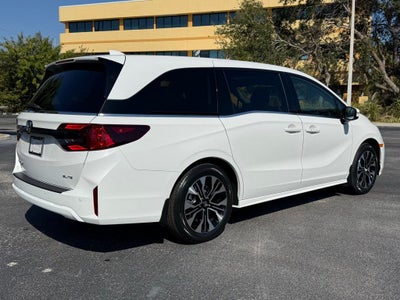 2026 Honda Odyssey Elite