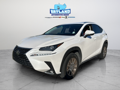2020 Lexus NX 300 Base
